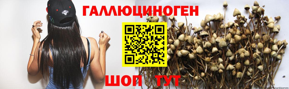 Псилоцибиновые грибы прущие грибы  Вход с VPN  Сухой Лог  Псилоцибиновые грибы Psilocybine cubensis 